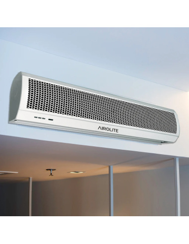 Cortina De Aire 120Cm Sólo Frío FM1212 220V...